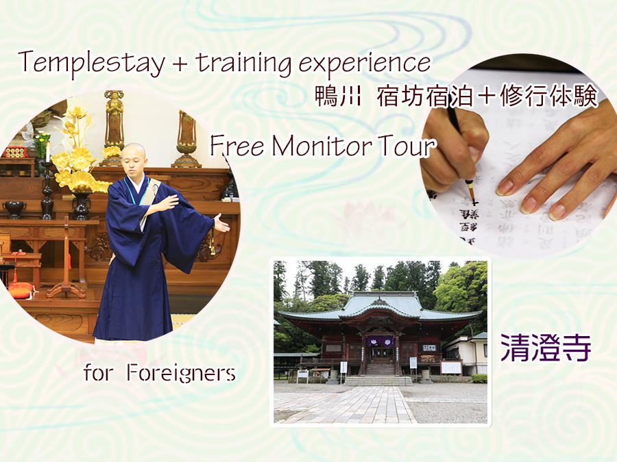Free Monitor Tour❣ Temple Lodging Experience and Monastic Retreat Experience for Foreigners