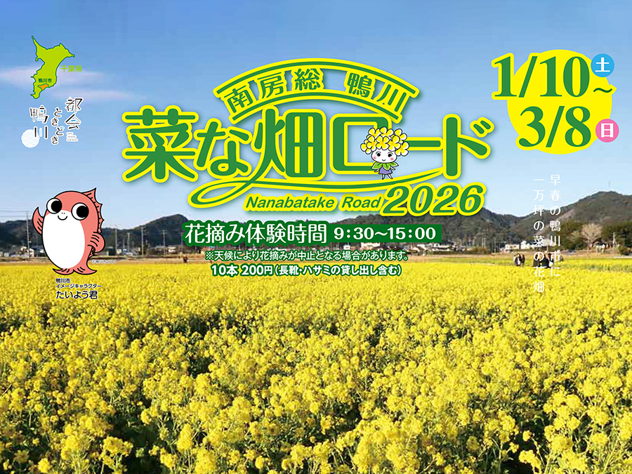 菜な畑ロード◇１万坪の敷地いっぱいに咲く菜の花畑