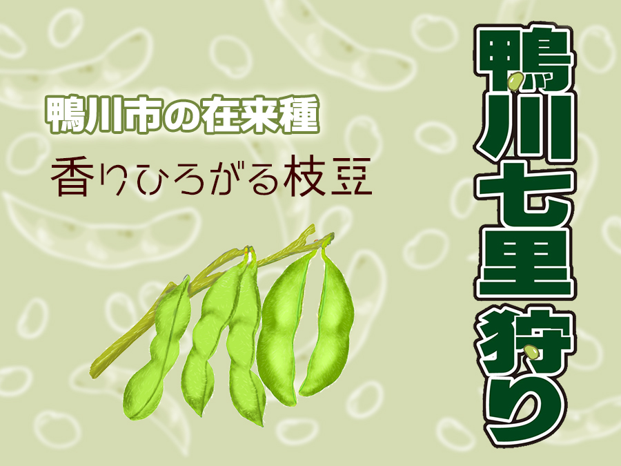 鴨川七里狩り◇香りが七里広がるおいしい枝豆