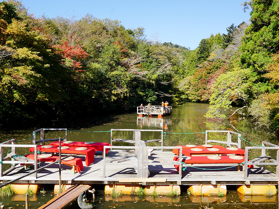 晩秋の水上お茶会◇秋の奥清澄で紅葉を