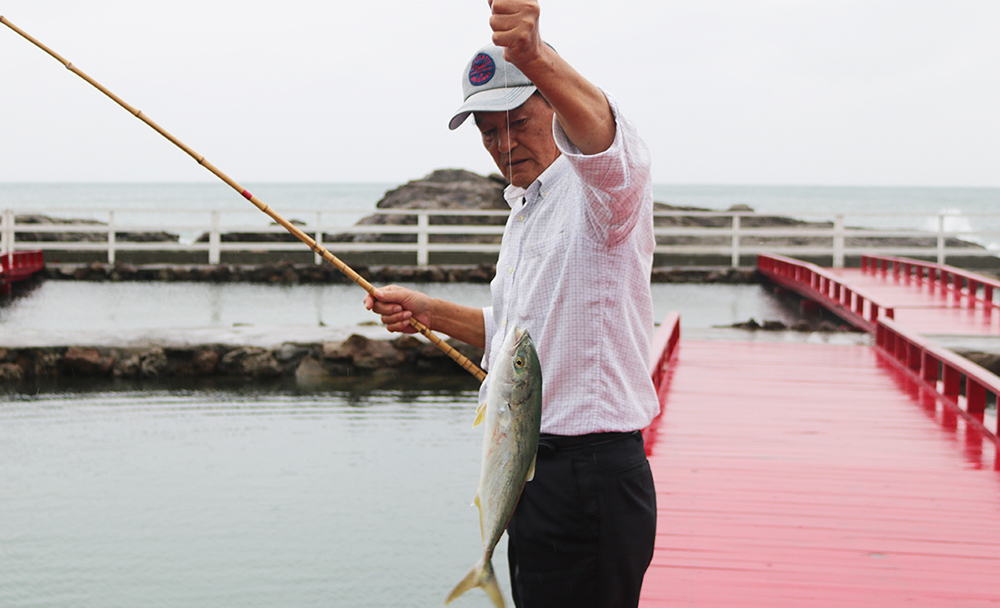 太海（ふとみ）フラワー磯釣りセンター | カモ旅 Kamotabi