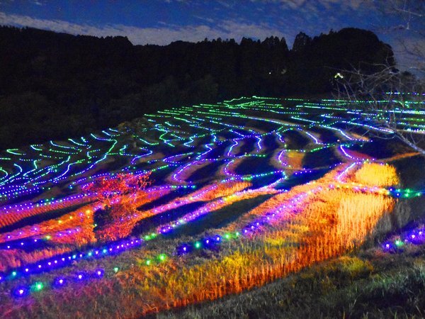 大山千枚田　ライトアップ